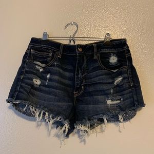Hi-Rise Festival Shorts